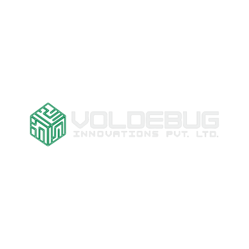 developer team
